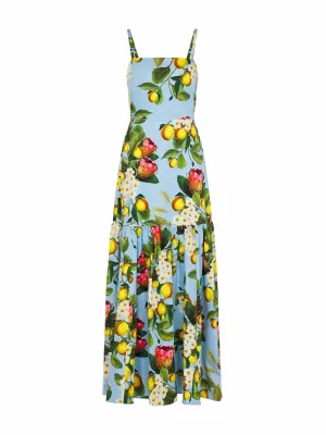 Cordelia blue multi floral maxi dress