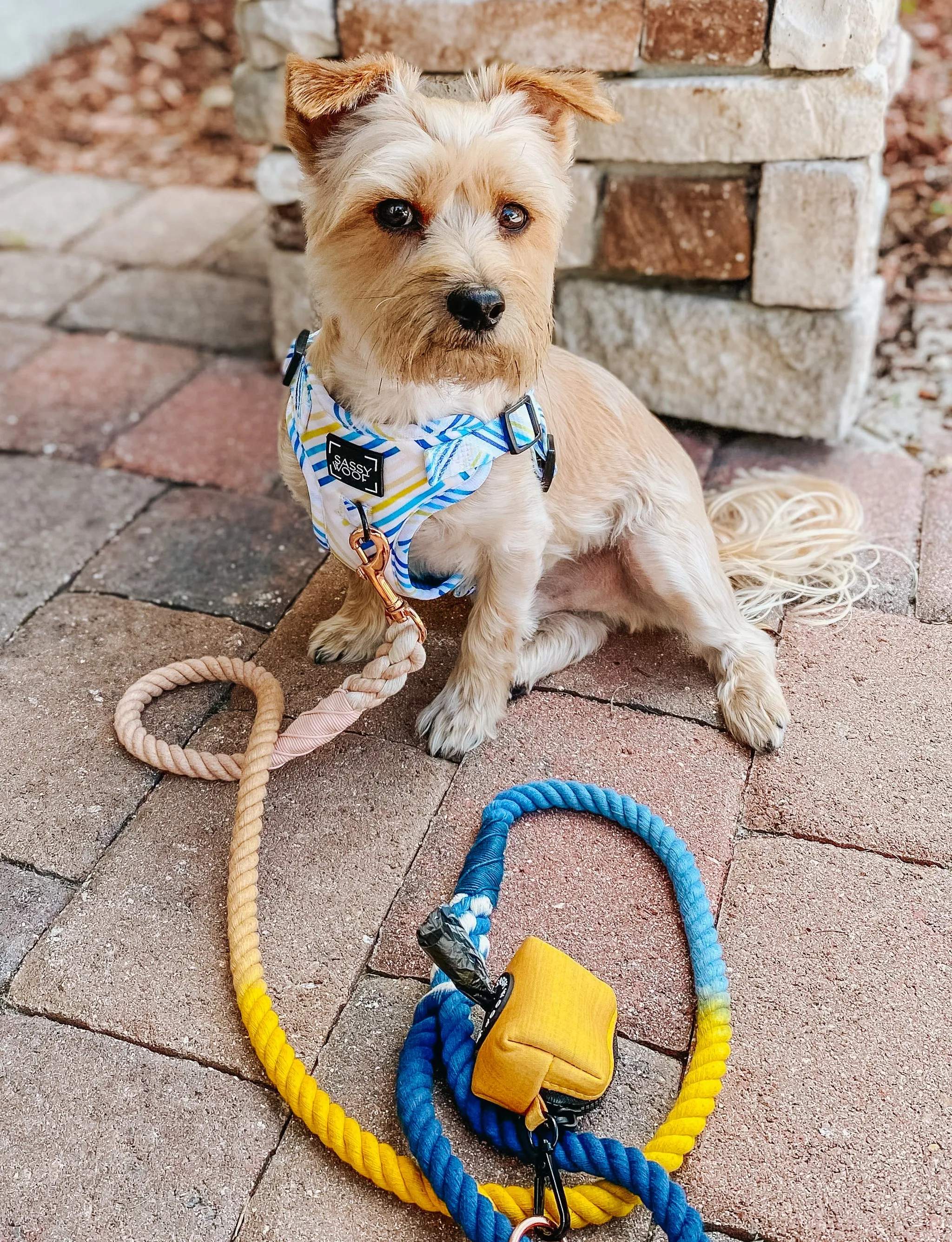 Dog Rope Leash - Airy