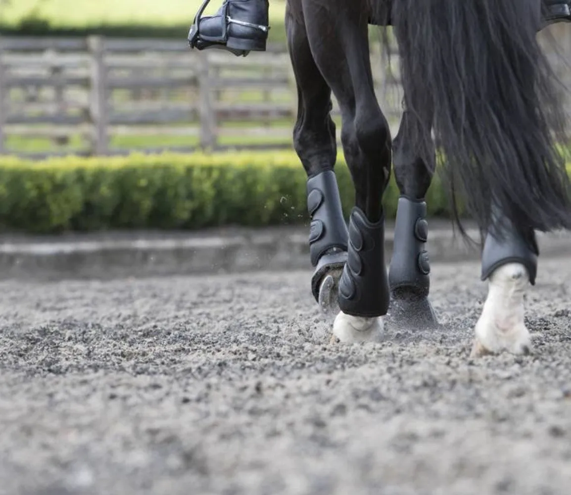 LeMieux Schooling Boots