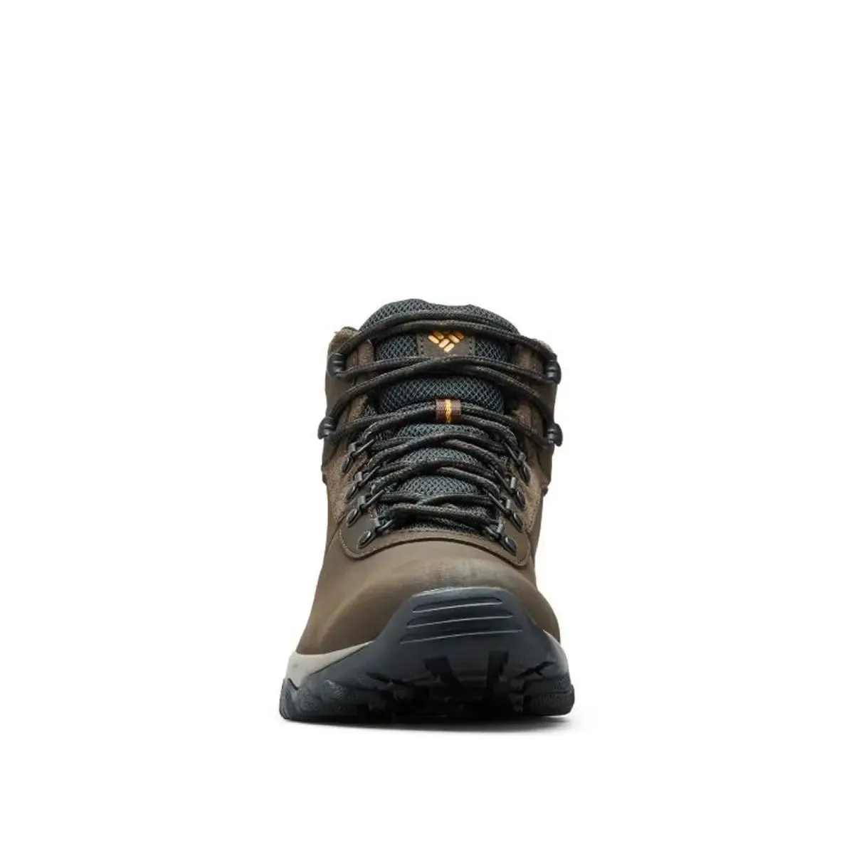 Newton Ridge Plus II Waterproof Hiking Boot - Cordovan