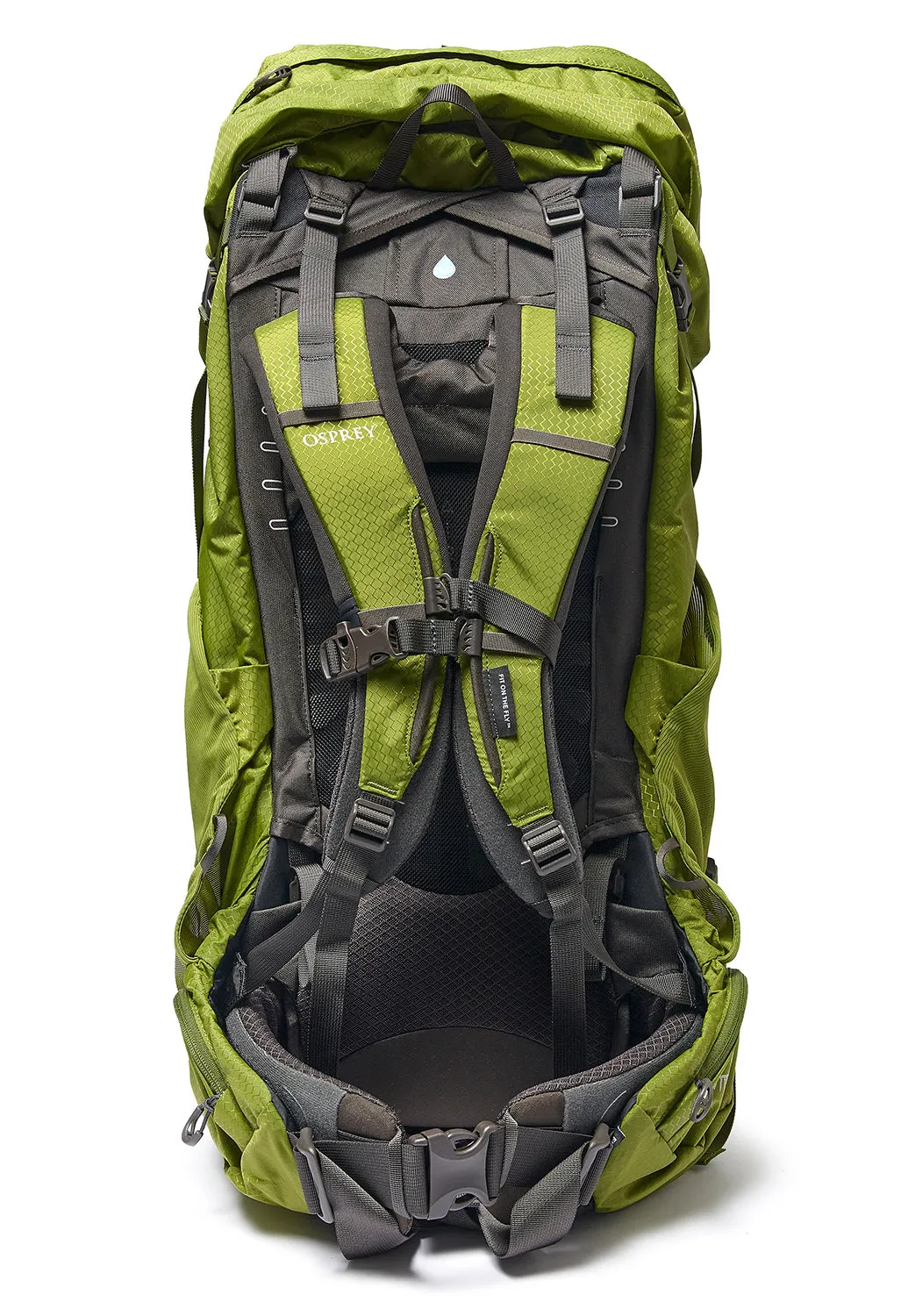 Osprey Aether 65 Backpack - Garlic Mustard Green