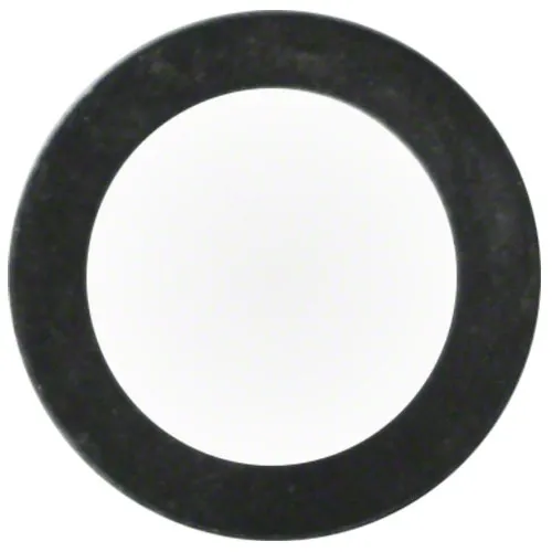 Pentair Flat Gasket 074629