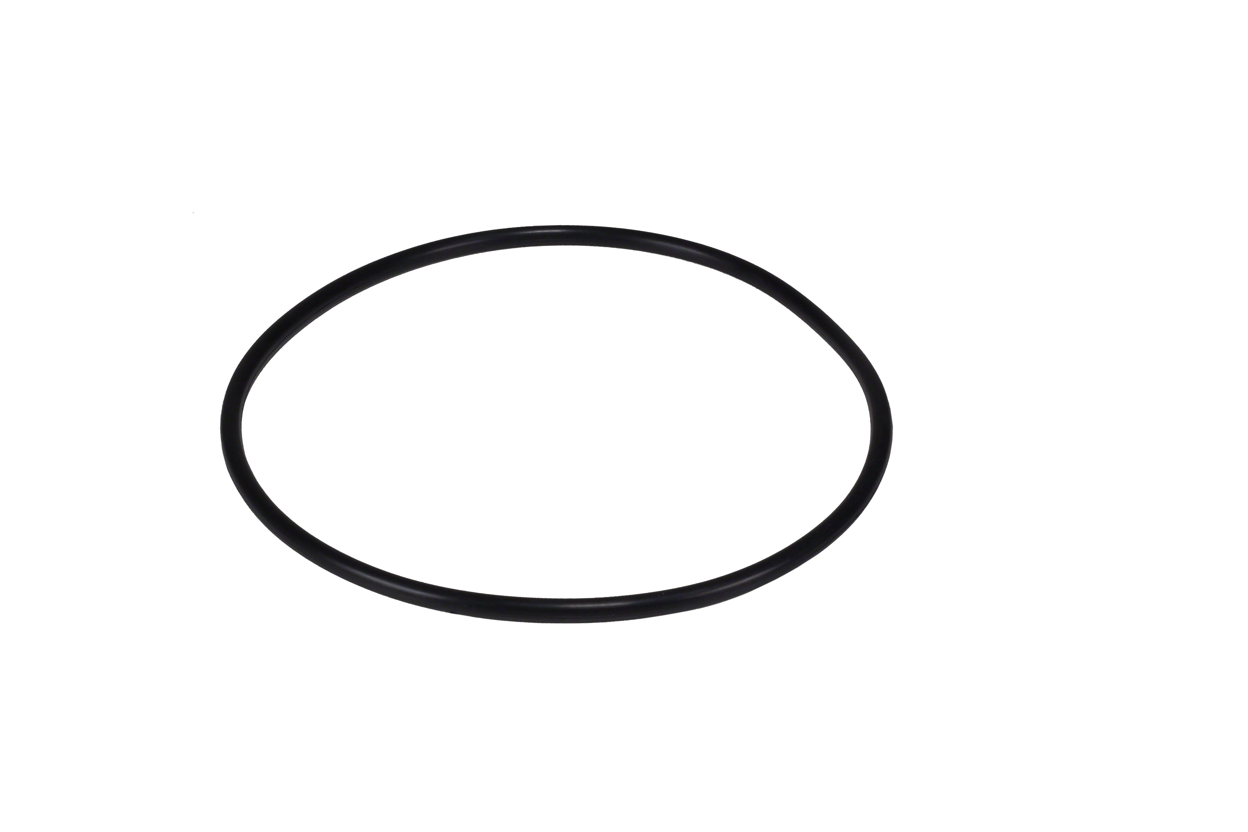 Polaris Backplate O-ring R0536600