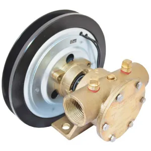 Pump - Bronze Clutch 1" 2A - 24V