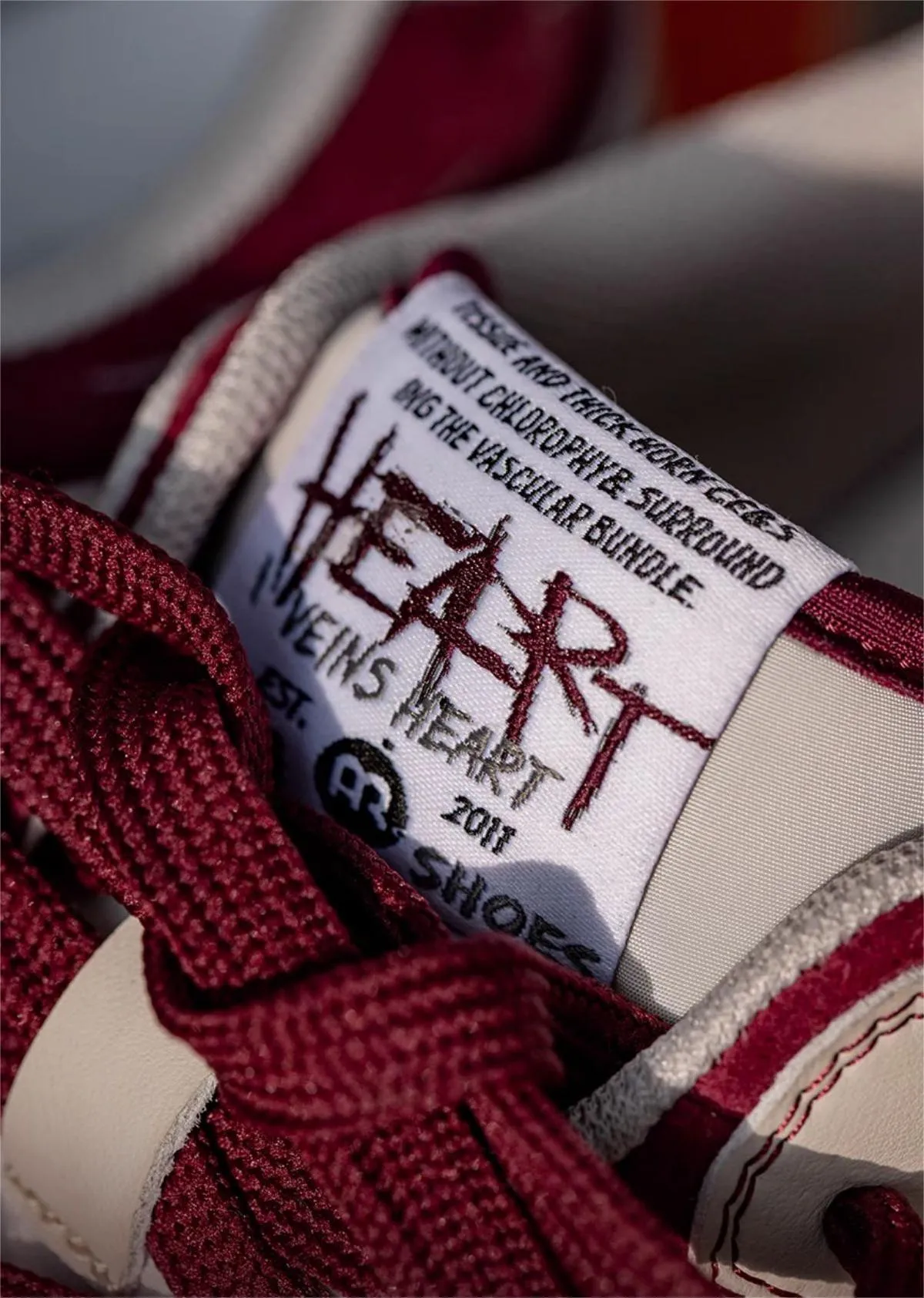 Veins Heart | Red Sneakers