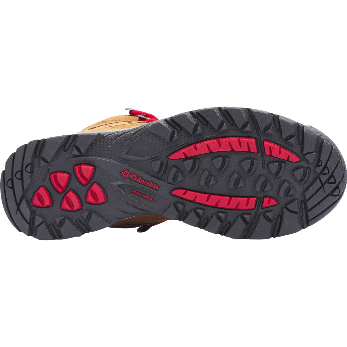 Women's Newton Ridge Plus Waterproof Amped - Wide