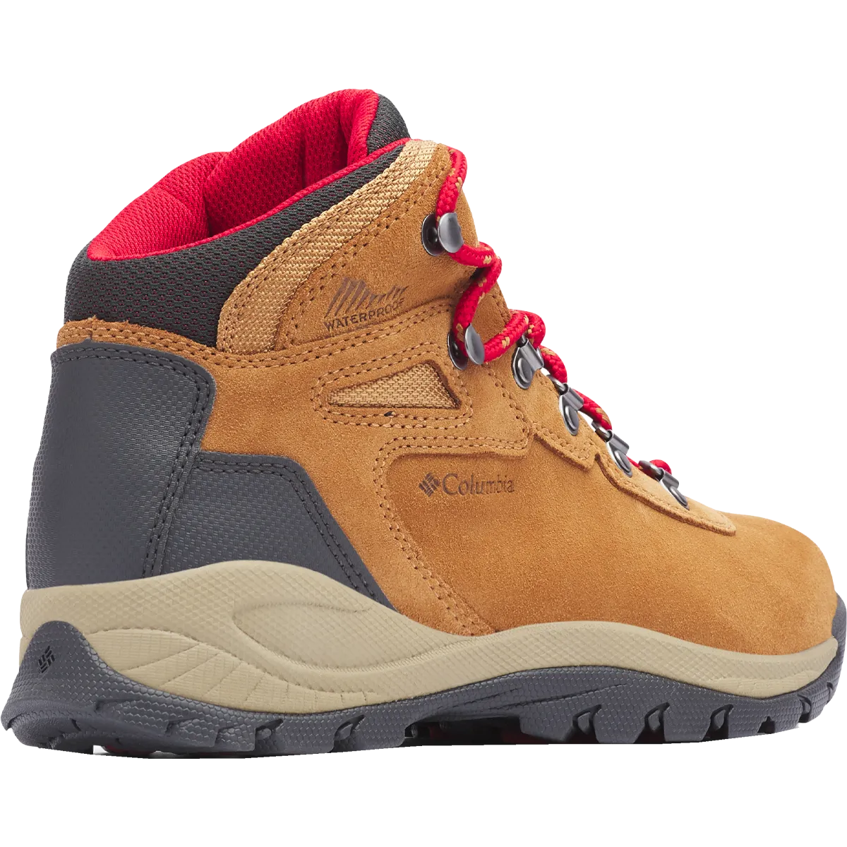 Women's Newton Ridge Plus Waterproof Amped - Wide